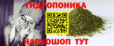 a pvp Кингисепп