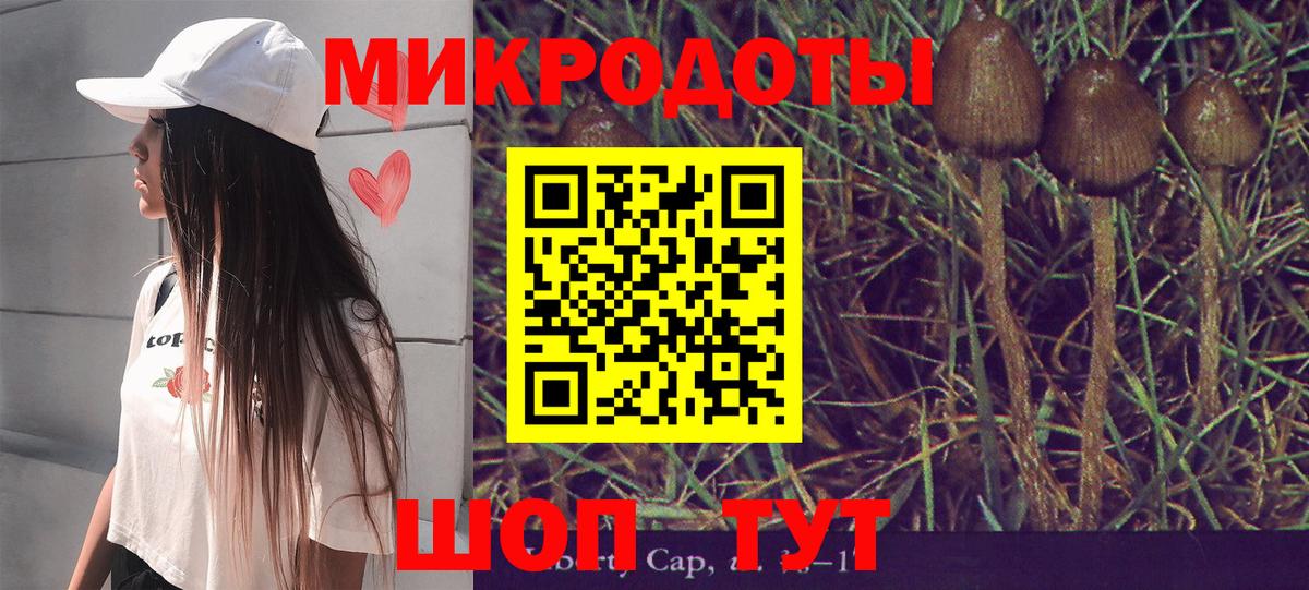 Ковров  Галлюциногенные грибы Psilocybine cubensis  Вход с VPN 