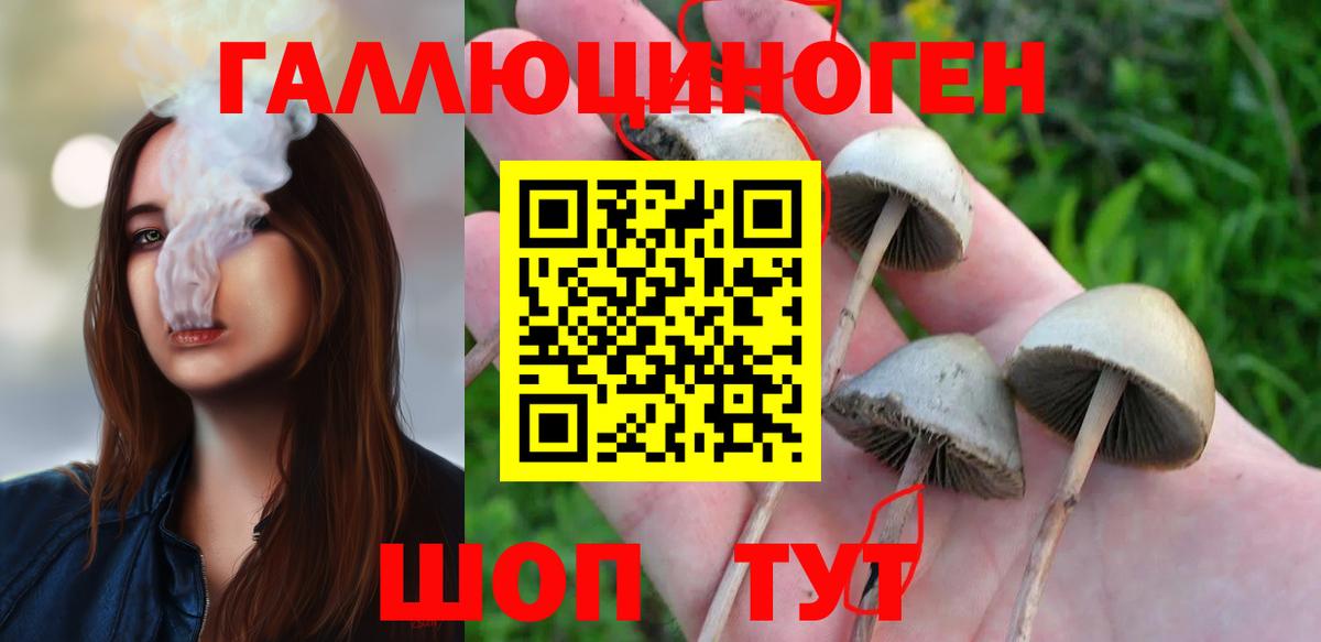 Галлюциногенные грибы прущие грибы Ковров